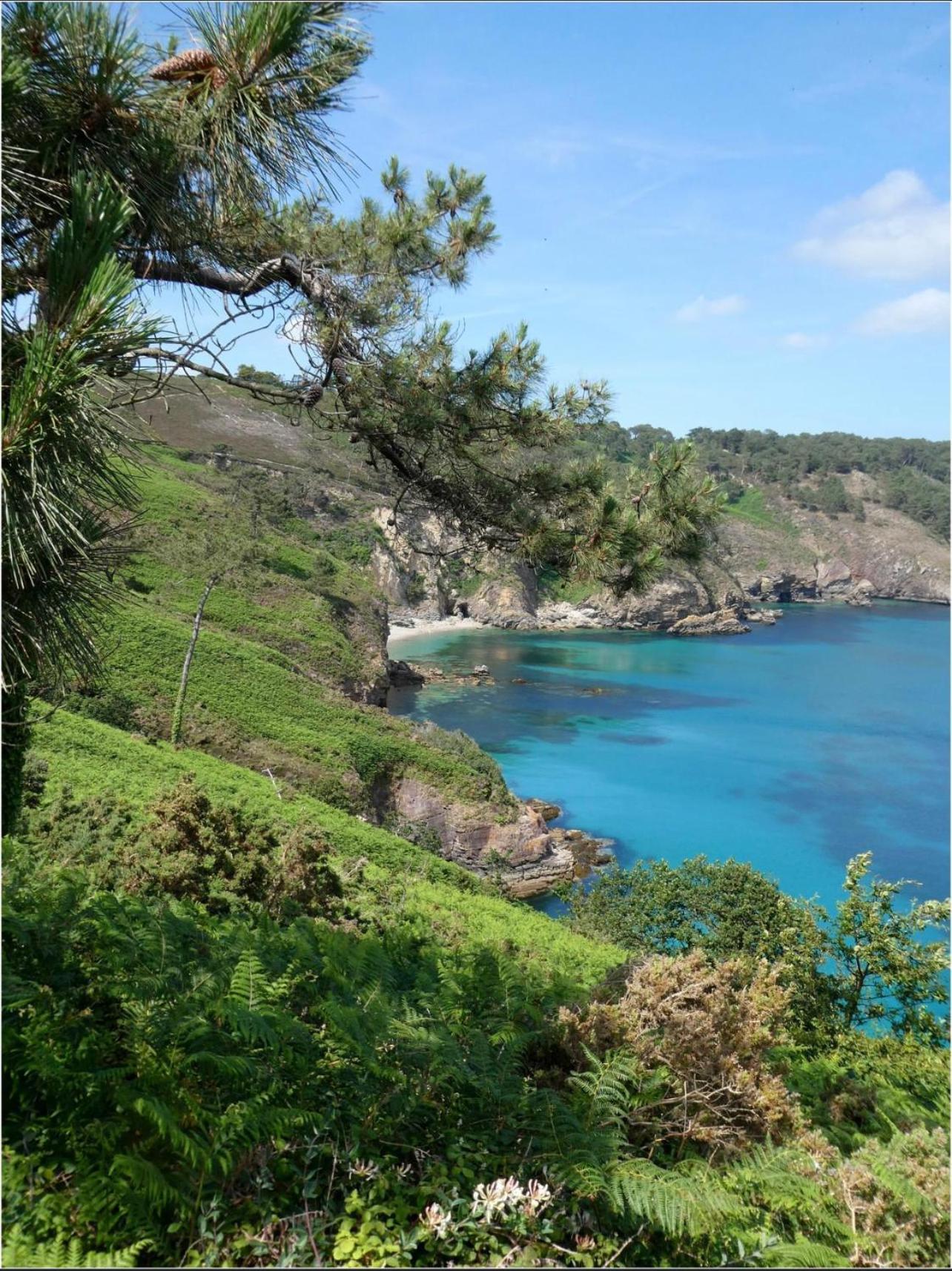 Maison A Morgat En Bretagne Sur La Presqu'Ile De Crozon Situee A 800 M De La Mer Piscine Chauffee Toute L'Annee Travaux Piscine Du 10 Au 20 Juin 2025 كروزون المظهر الخارجي الصورة